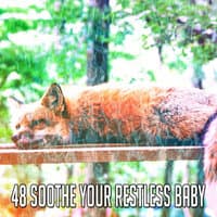 48 Soothe Your Restless Baby