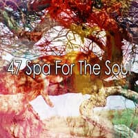 47 Spa for the Soul