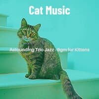 Astounding Trio Jazz - Bgm for Kittens