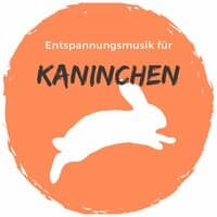 Entspannungsmusik für kaninchen