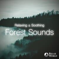 Relaxing & Soothing -Forest Sounds