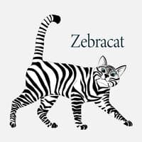 Zebracat