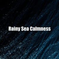 Rainy Sea Calmness