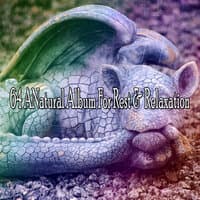 64 Anatural Album for Rest & Relaxation