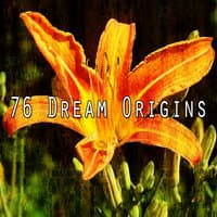 76 Dream Origins