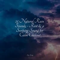 25 Natural Rain Sounds - Rest & a Soothing Sound for Calm Chillout