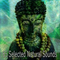 65 Selected Natural Sounds