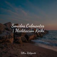 Sonidos Calmantes | Meditación Reiki