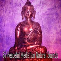 67 Peaceful Mediation Natural Sounds