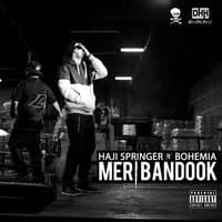 Meri Bandook  - Single