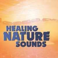 Healing Nature Sounds