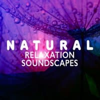 Natural Relaxation Soundscapes