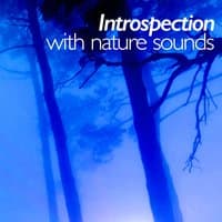 Introspection with Nature Sounds