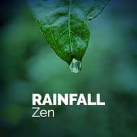 Rainfall Zen