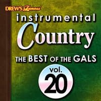 Instrumental Country: The Best of the Gals, Vol. 20