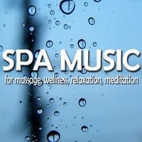 SPA Music for massage, wellness, relaxation, meditation