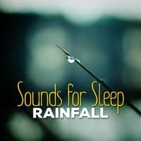 Sounds for Sleep - Rainfall