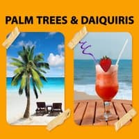 Palm Trees and Daiquiris