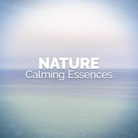 Nature: Calming Essences