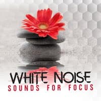 White Noise: Sounds for Focus