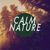 Calm Nature