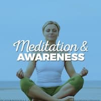 Meditation & Awareness