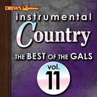 Instrumental Country: The Best of the Gals, Vol. 11