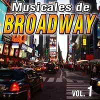 Musicales De Broadway Vol.1