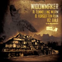 Tunneling Wurm / Forgotten Ruin / Exile