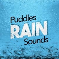 Puddles: Rain Sounds