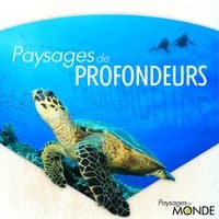 Paysages des profondeurs