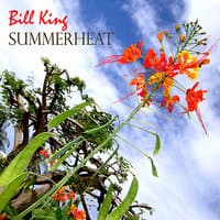 Summer Heat - The Jazz Collection, 1979-2008