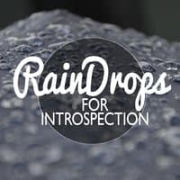 Rain Drops for Introspection