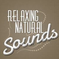 Relaxing Natural Sounds