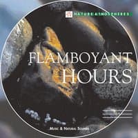 Nature Atmosphere: Flamboyant Hours