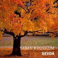 Yaban Küçüğüm