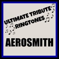 Ultimate Aerosmith Tones