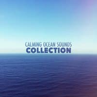 Calming Ocean Sounds Collection