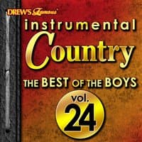 Instrumental Country: The Best of the Boys, Vol. 24