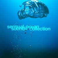 Sensual Ocean Sounds Collection