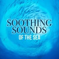 Soothing Sounds of the Sea