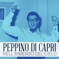 Nell'immenso del cielo