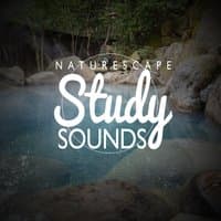 Naturescape Study Sounds