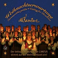 Weihnachtserwartung