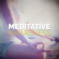 Meditative Awareness