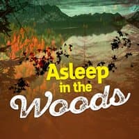 Asleep in the Woods