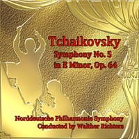 Symphony No. 5 in E Minor, Op. 64: III. Valse. Allegro moderato