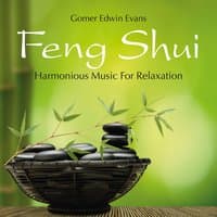 Feng Shui: Harmonious Music for Relaxation