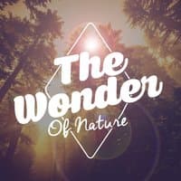 The Wonder of Nature