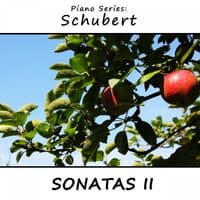 Piano Series: Schubert